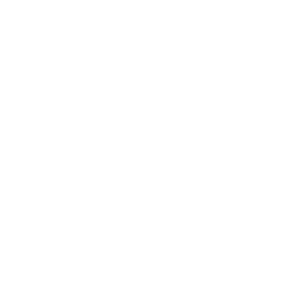 Facebook Glyph